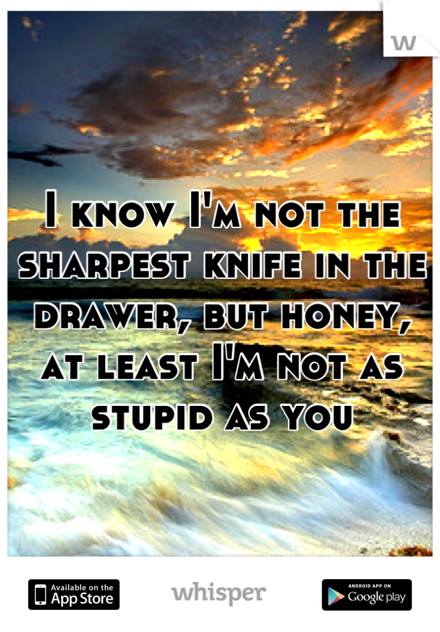 I know I'm not the sharpest knife in the drawer, but honey, at least I'm not as stupid as you