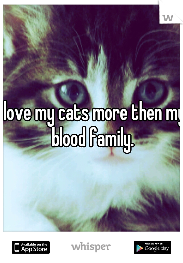 I love my cats more then my blood family.