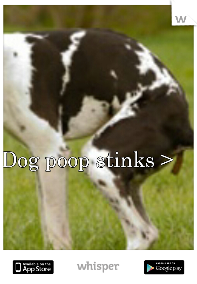 Dog poop stinks >