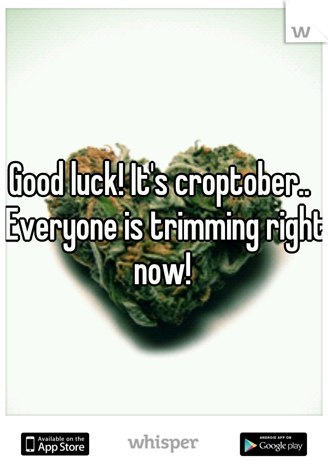 Good luck! It's croptober..  Everyone is trimming right now! 