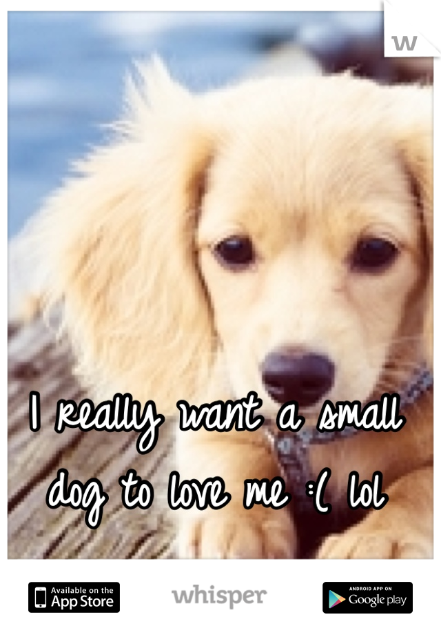 I really want a small dog to love me :( lol