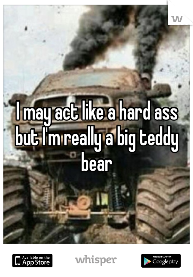 I may act like a hard ass but I'm really a big teddy bear