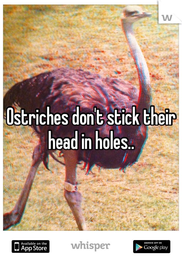 Ostriches don't stick their head in holes.. 