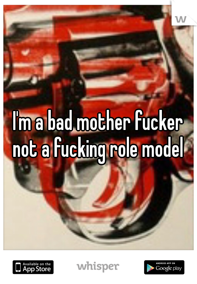 I'm a bad mother fucker not a fucking role model 