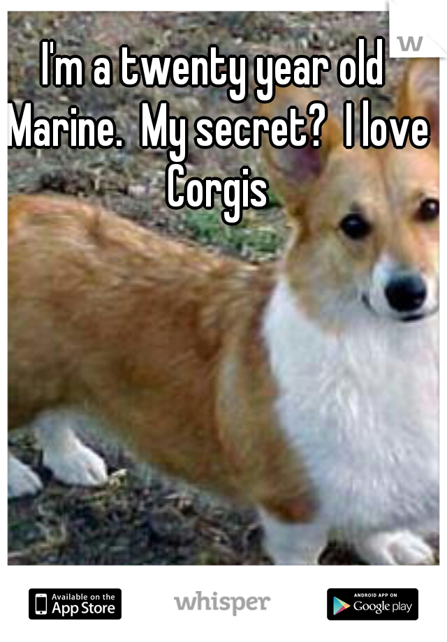 I'm a twenty year old Marine.  My secret?  I love Corgis
