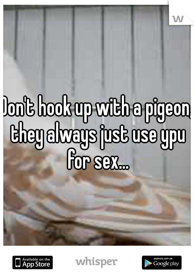 Don't hook up with a pigeon, they always just use ypu for sex...