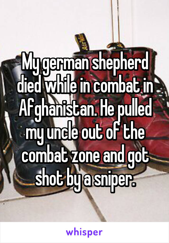 My german shepherd died while in combat in Afghanistan. He pulled my uncle out of the combat zone and got shot by a sniper.