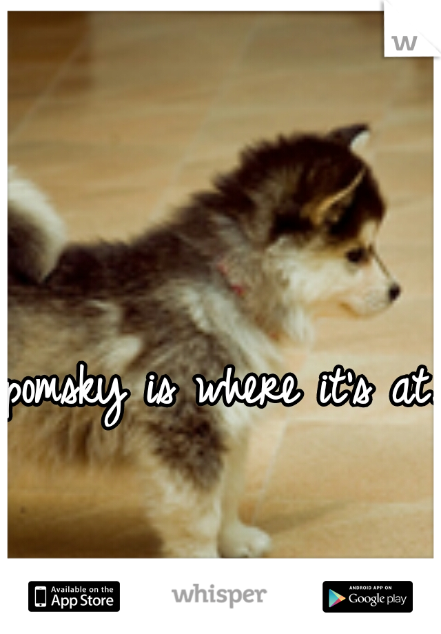 pomsky is where it's at. 