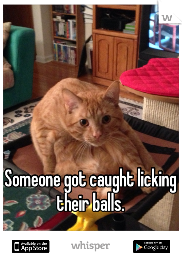 Someone got caught licking their balls. 