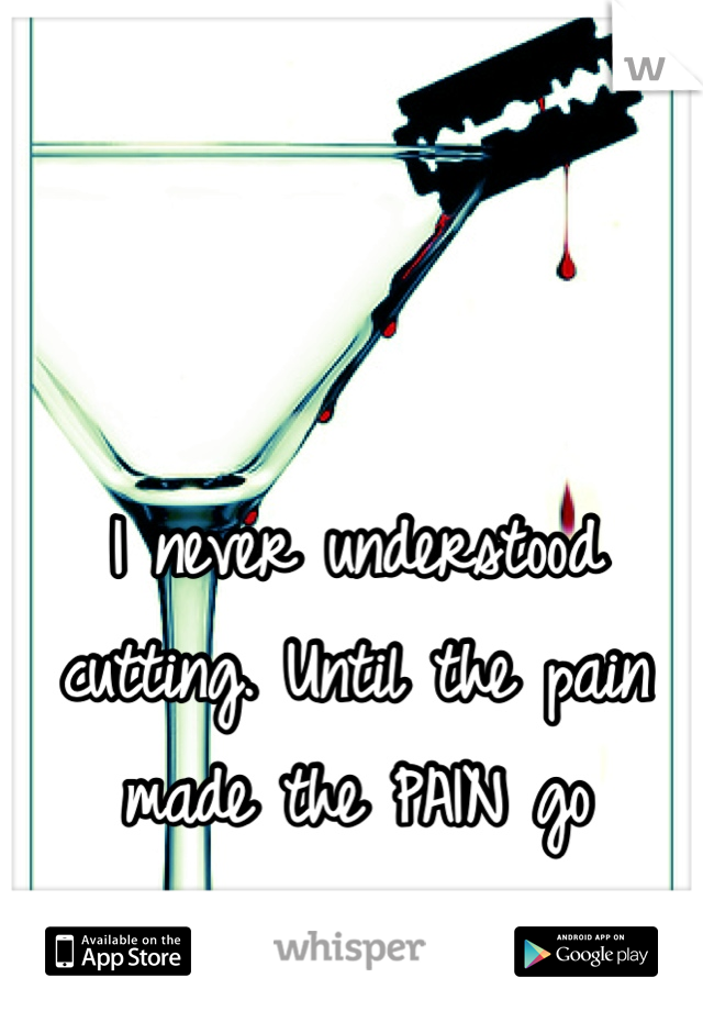 I never understood cutting. Until the pain made the PAIN go away....