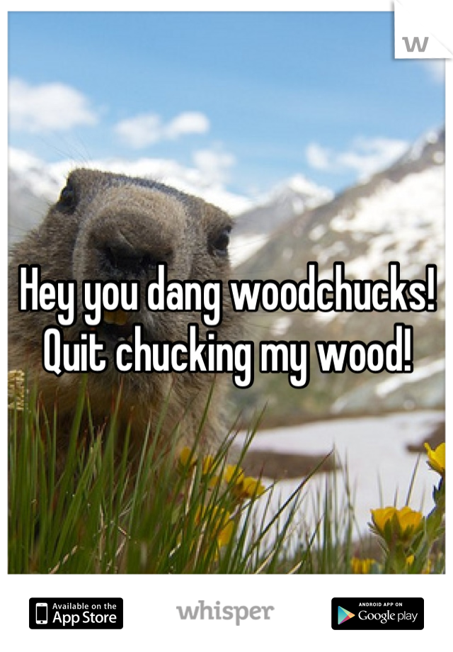 Hey you dang woodchucks! Quit chucking my wood!