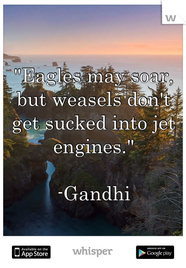 "Eagles may soar, but weasels don't get sucked into jet engines."
                                                      -Gandhi