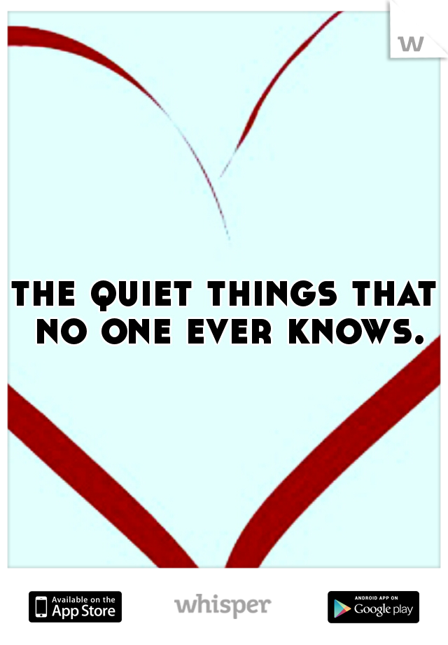 the quiet things that no one ever knows.