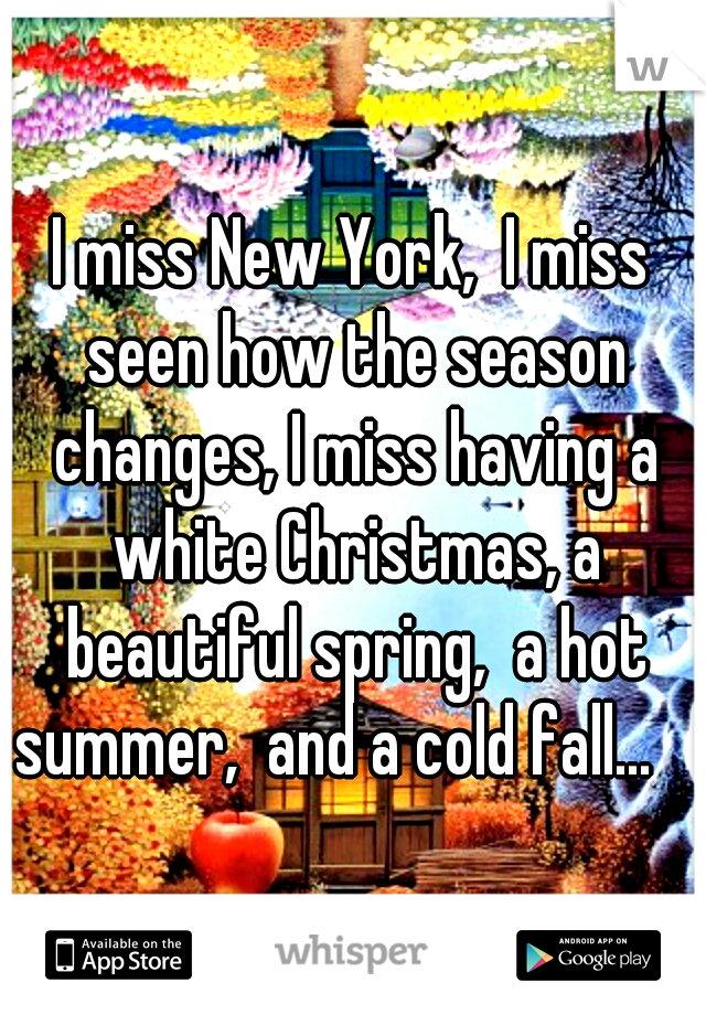 I miss New York,  I miss seen how the season changes, I miss having a white Christmas, a beautiful spring,  a hot summer,  and a cold fall... 

