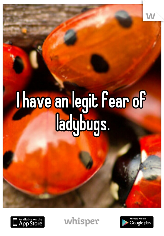 I have an legit fear of ladybugs.