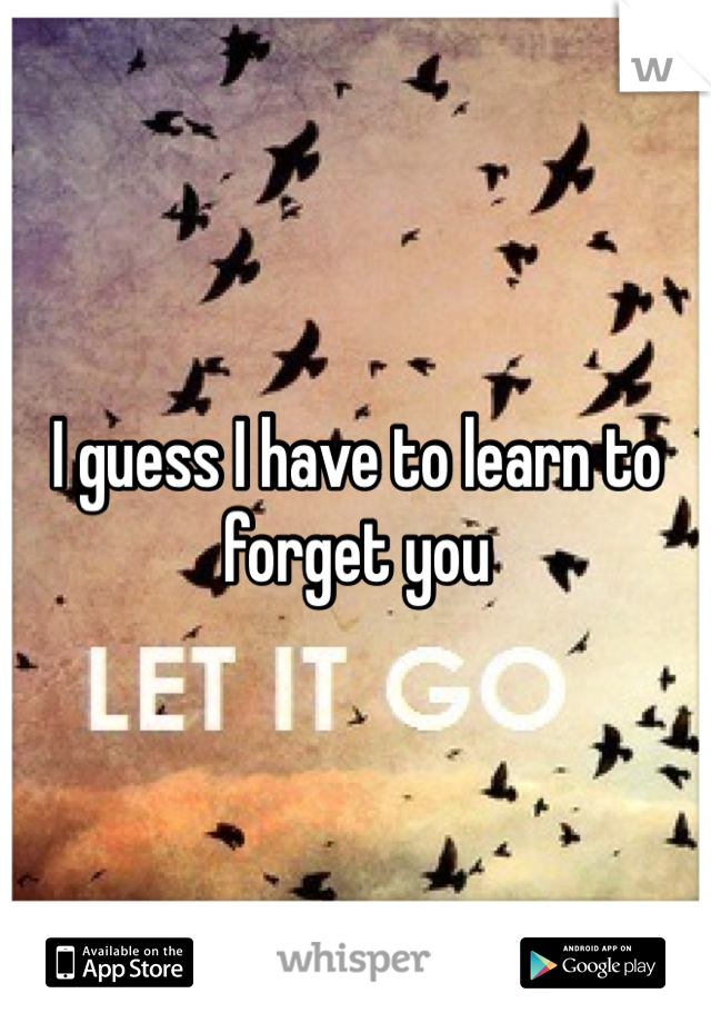 I guess I have to learn to forget you