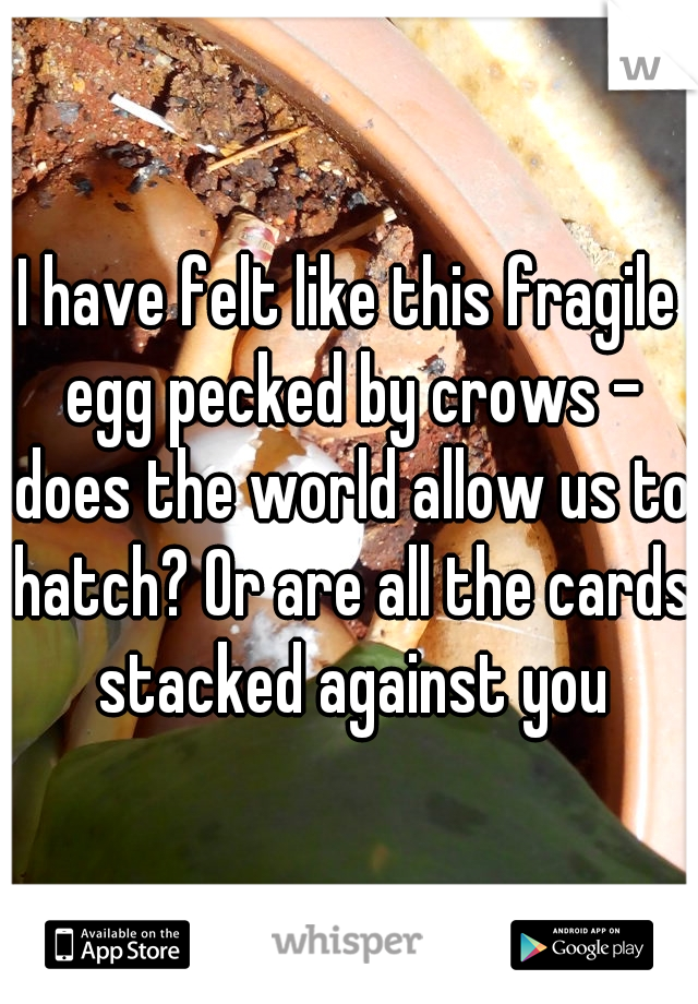 I have felt like this fragile egg pecked by crows - does the world allow us to hatch? Or are all the cards stacked against you