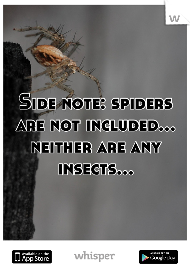 Side note: spiders are not included… neither are any insects…