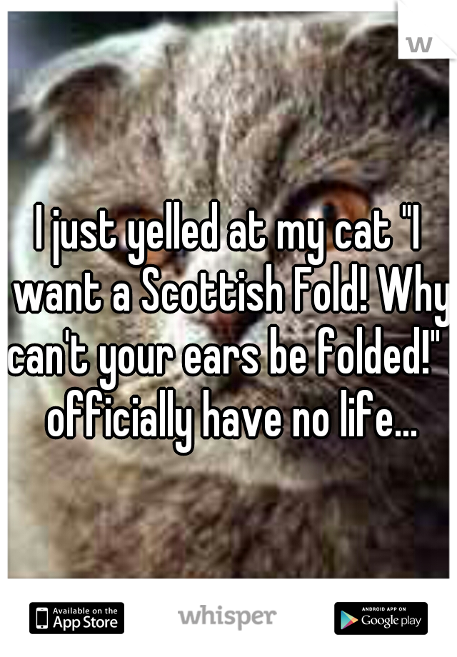 I just yelled at my cat "I want a Scottish Fold! Why can't your ears be folded!" I officially have no life...