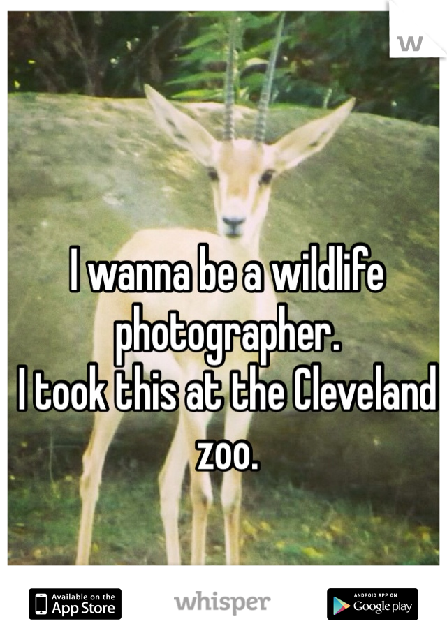 I wanna be a wildlife photographer. 
I took this at the Cleveland zoo.
