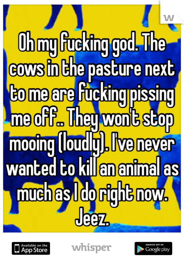 Oh my fucking god. The cows in the pasture next to me are fucking pissing me off.. They won't stop mooing (loudly). I've never wanted to kill an animal as much as I do right now. Jeez. 