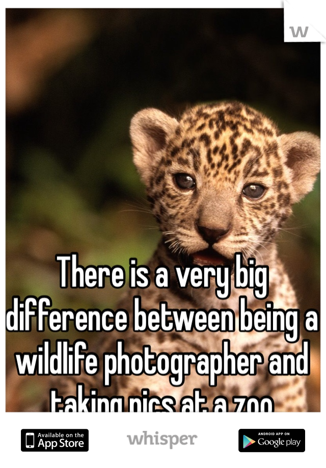 There is a very big difference between being a wildlife photographer and taking pics at a zoo