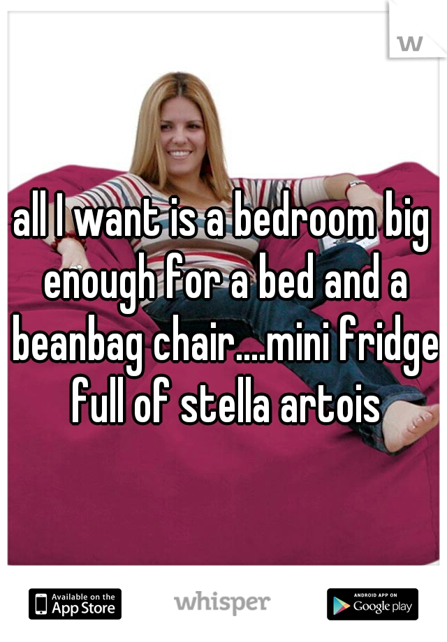 all I want is a bedroom big enough for a bed and a beanbag chair....mini fridge full of stella artois