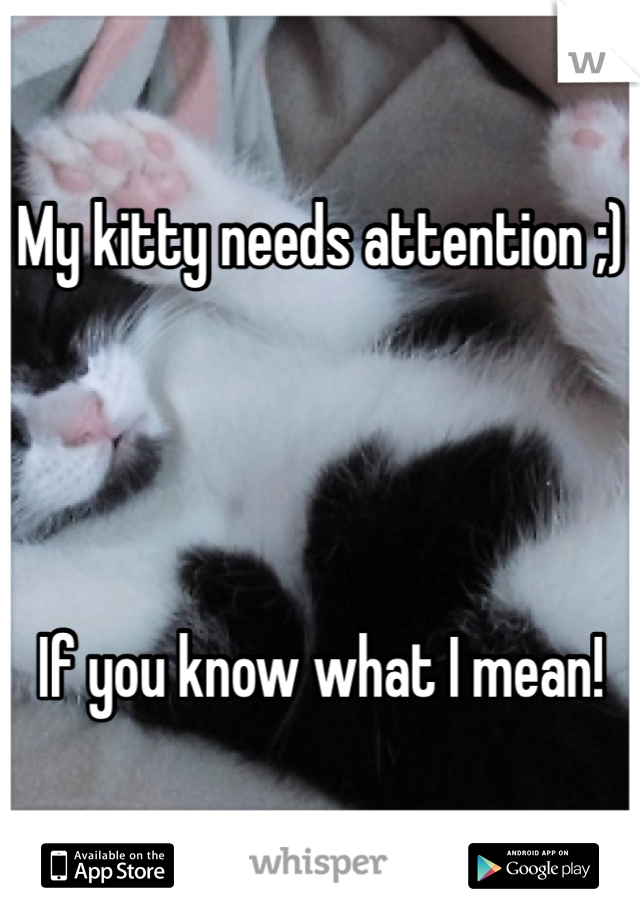 My kitty needs attention ;) 




If you know what I mean!