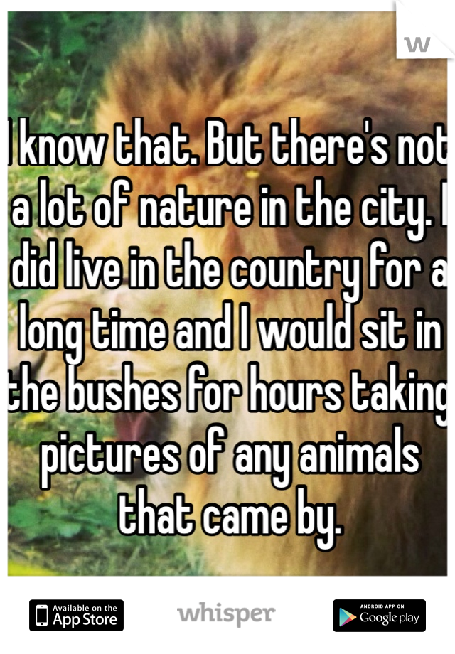 I know that. But there's not a lot of nature in the city. I did live in the country for a long time and I would sit in the bushes for hours taking pictures of any animals that came by.