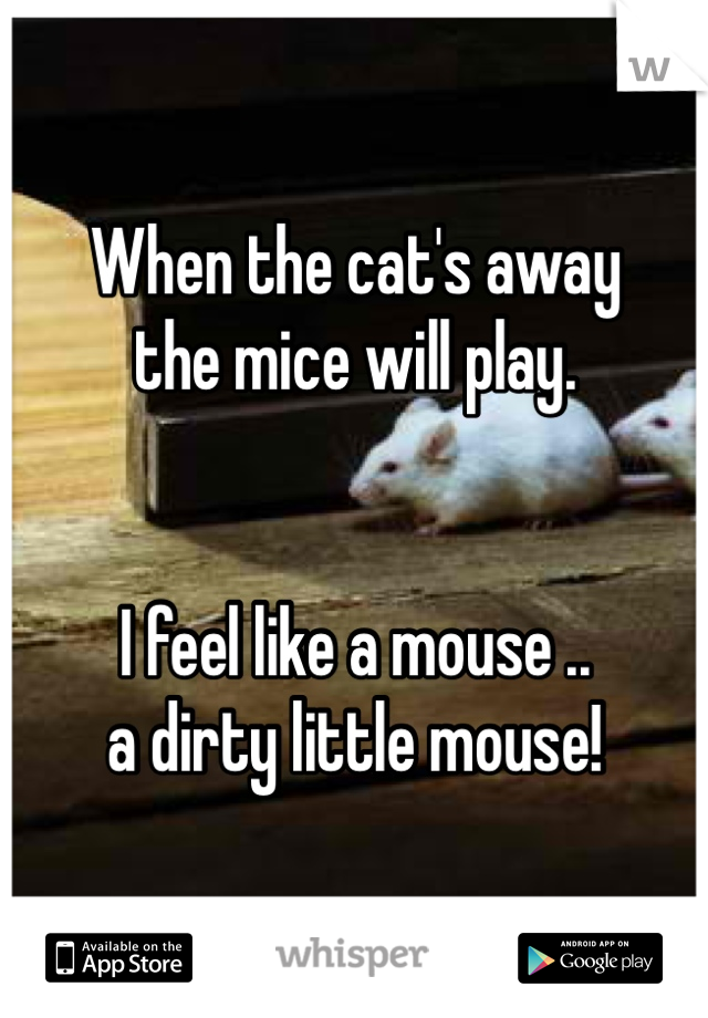 When the cat's away
the mice will play. 


I feel like a mouse ..
a dirty little mouse!