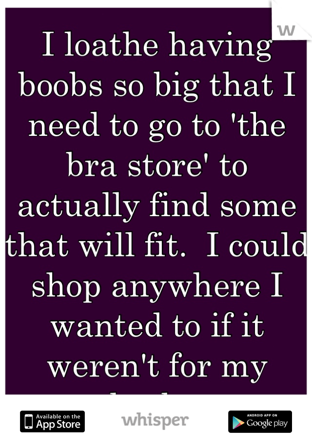 I loathe having boobs so big that I need to go to 'the bra store' to actually find some that will fit.  I could shop anywhere I wanted to if it weren't for my boobs.