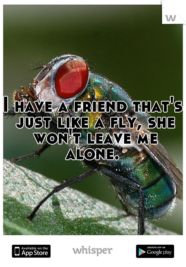 I have a friend that's just like a fly, she won't leave me alone. 