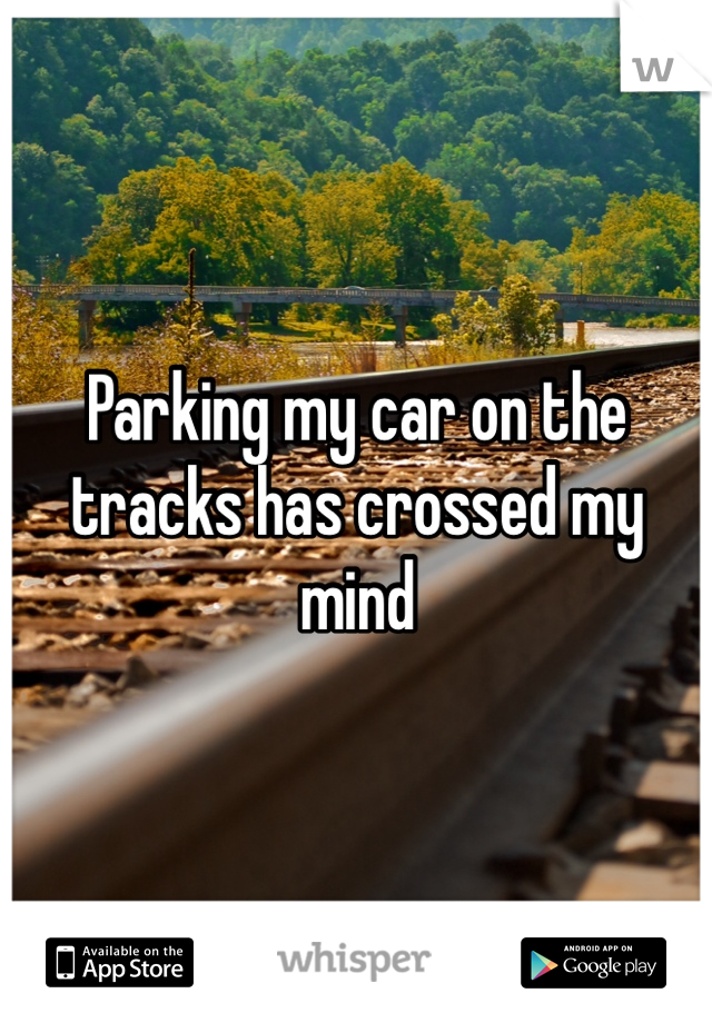Parking my car on the tracks has crossed my mind