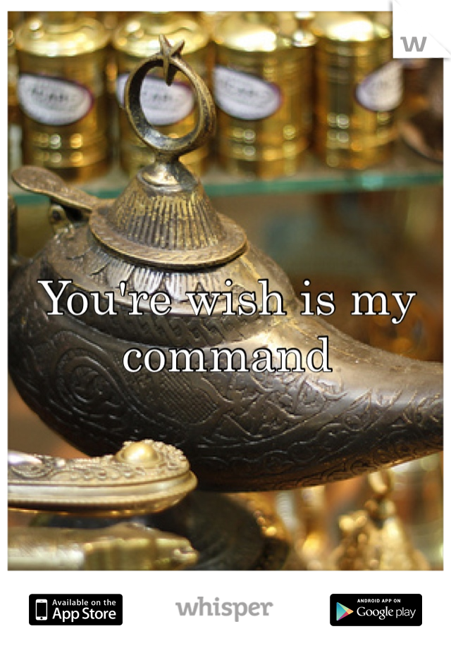 You're wish is my command 
