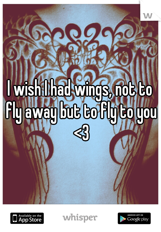 I wish I had wings, not to fly away but to fly to you <3