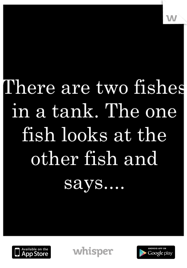 There are two fishes in a tank. The one fish looks at the other fish and says....