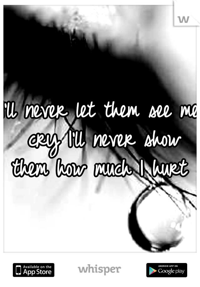 I'll never let them see me cry I'll never show them how much I hurt 