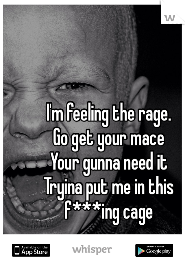 I'm feeling the rage.
Go get your mace
Your gunna need it
Tryina put me in this f***ing cage