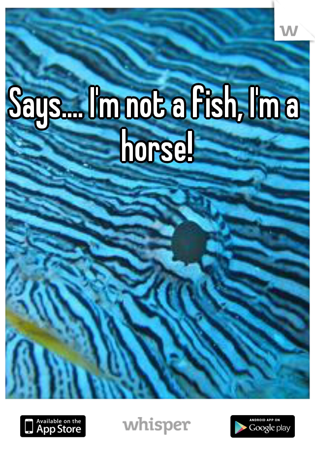 Says.... I'm not a fish, I'm a horse!
