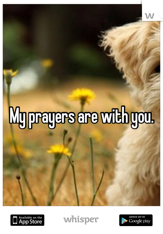 My prayers are with you.