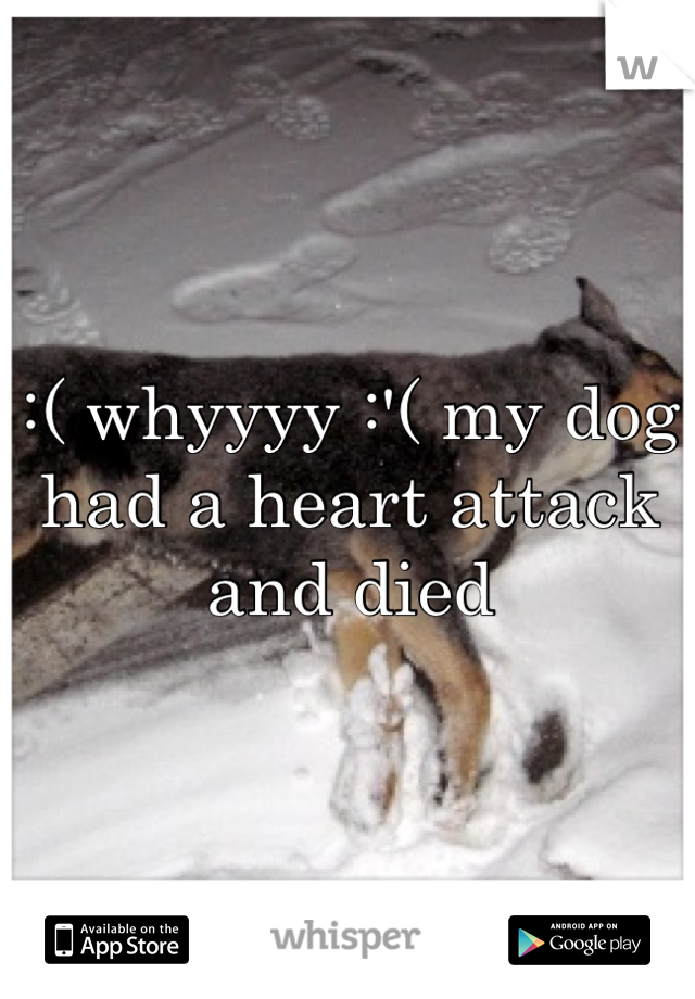 :( whyyyy :'( my dog had a heart attack and died 