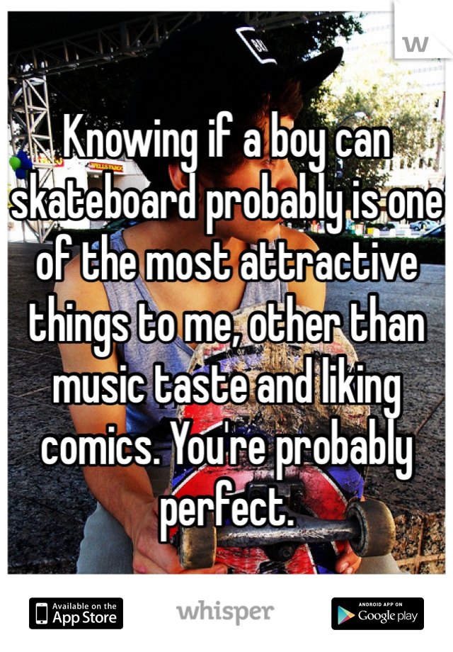 Knowing if a boy can skateboard probably is one of the most attractive things to me, other than music taste and liking comics. You're probably perfect. 