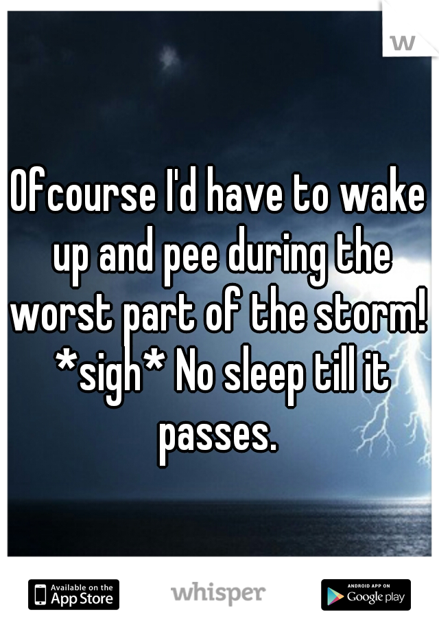 Ofcourse I'd have to wake up and pee during the worst part of the storm!  *sigh* No sleep till it passes. 
