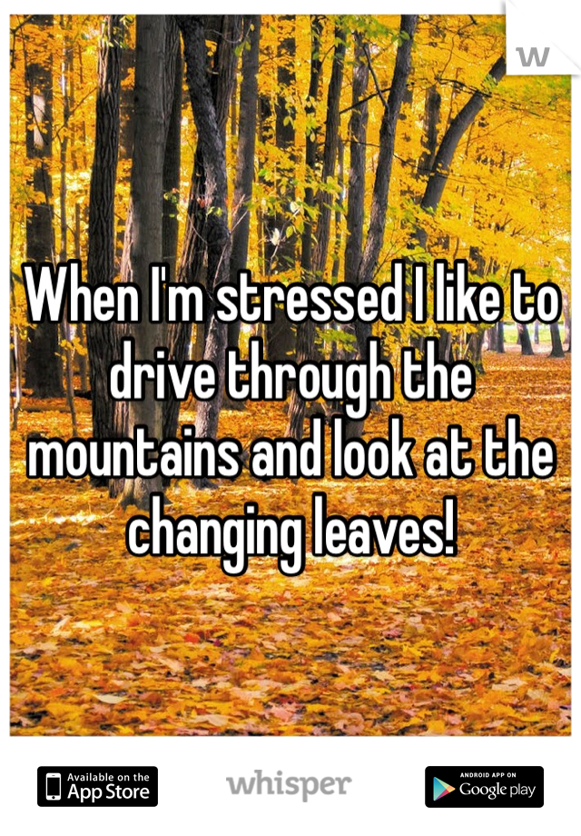 When I'm stressed I like to drive through the mountains and look at the changing leaves! 