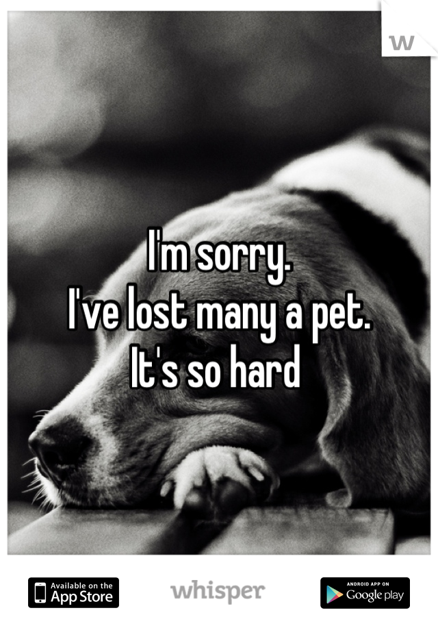 I'm sorry. 
I've lost many a pet. 
It's so hard 