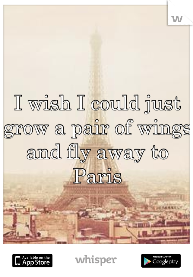 I wish I could just grow a pair of wings and fly away to Paris 