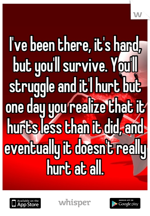 I've been there, it's hard, but you'll survive. You'll struggle and it'l hurt but one day you realize that it hurts less than it did, and eventually it doesn't really hurt at all.