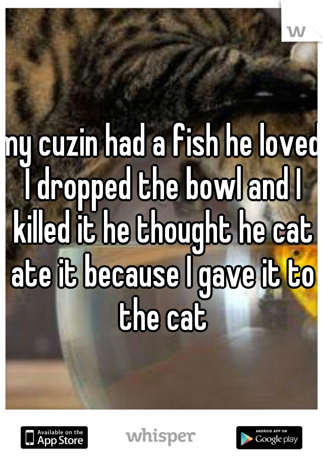 my cuzin had a fish he loved I dropped the bowl and I killed it he thought he cat ate it because I gave it to the cat
