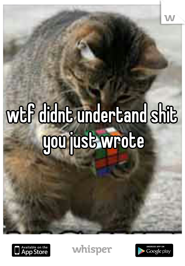 wtf didnt undertand shit you just wrote