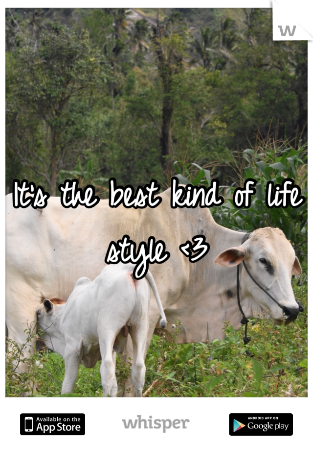 It's the best kind of life style <3